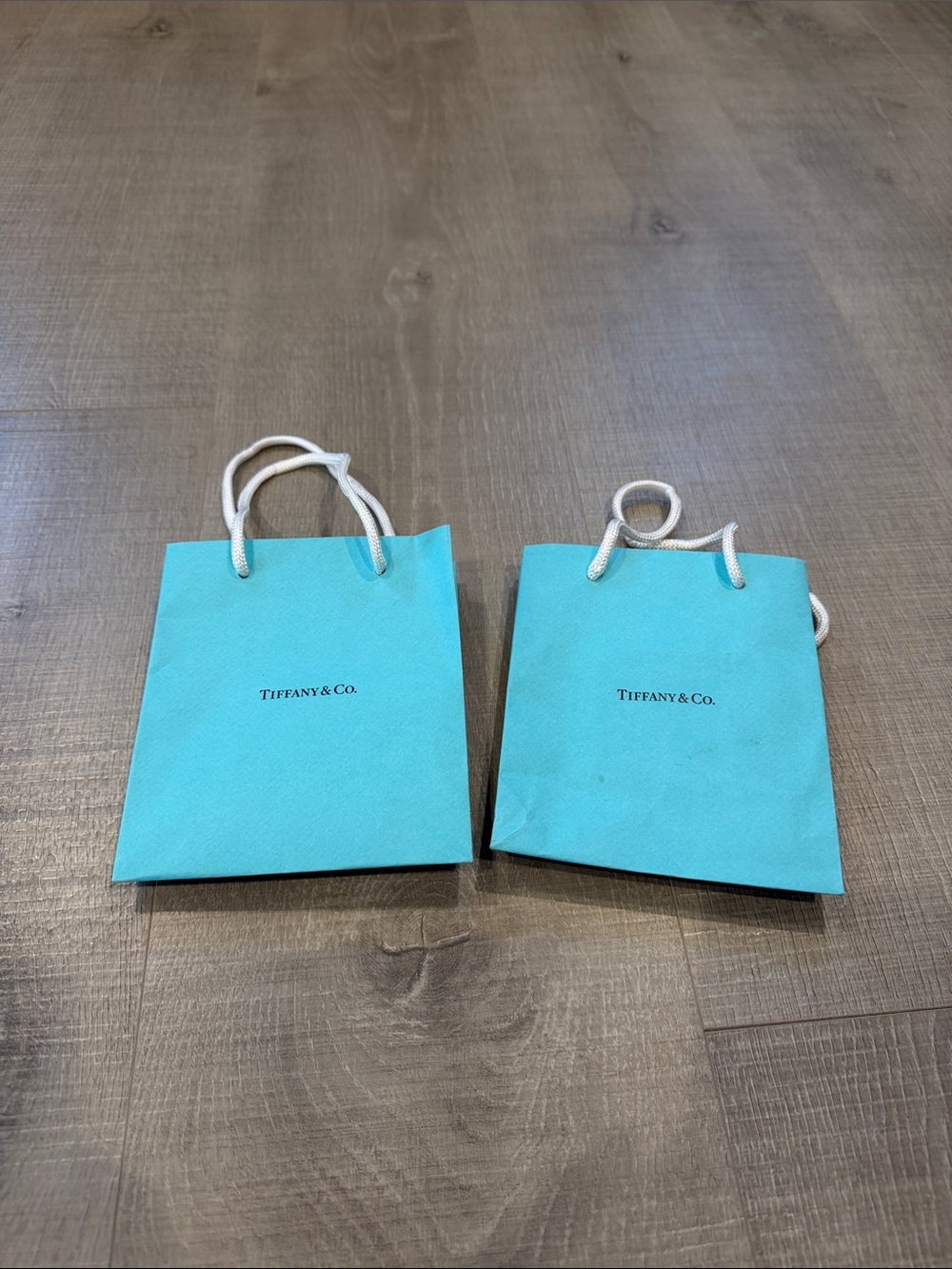 Tiffany & Co. Small Robin's Egg Blue Mini Shopping Bags with White Rope Handles
